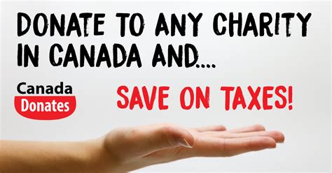 how to start a charity in canada|Operating a registered charity .